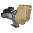 Self Priming Pump,1-1/2 Hp,