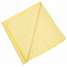 Microfiber Cloth,24" x 24",