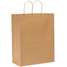 Shopping Bag,Standard,Paper,