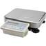 Bench Scale,SS Platform,30kg/