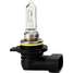 Halogen Bulb 9012LL/HIR2