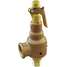 Safety Relief Valve,3/4 x 1 In,