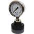 Pressure Gauge,1/4" Fnpt,0 To