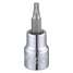 Socket Bit,SAE,3/8" Drive,T25