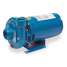 Pump,1/3 Hp,1 Ph,120/240VAC