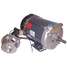 Motor,1/3 Hp,1725 Rpm,56,115/