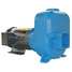 Self Priming Pump,5 Hp,Cast