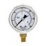 Pressure Gauge,1/8 In. NPT,2