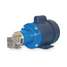 Gear Pump,Magnetic Drive,1/3HP,