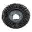 Scrub Brush,15 In.,Blk,Mfr. No.