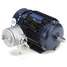 Motor,2 Hp,1755 Rpm,145T,230/