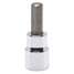 Drive Hex Bit Socket,3/8in,1/