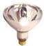 Incandescent Bulb,R40,300 Lm,