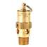 Air Safety Valve,1/4" (m) NPT