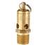 Air Safety Valve,1/2" (m) NPT