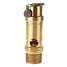 Pressure Relief Valve,SS Ball