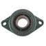 Flange Bearing,2-Bolt,Ball,1"