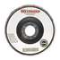 Flap Disc,Type 27,4" Dia.,80