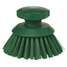 Scrub Brush,3 3/4 In Brush L