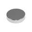 Disc Magnet,Neodymium,1/8 In.