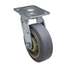 Nsf-Listed Plate Caster,Swivel,