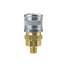 Manual Socket 1/4" Mpt Brass/S