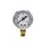 Pressure Gauge,Nominal 1-1/2"